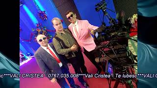 Clip  Vali Cristea  Te Iubesc COVER [upl. by Aciras]