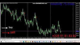 Day trading viking stratégie live signaux sur v75 en M15 99 fiable [upl. by Arman712]