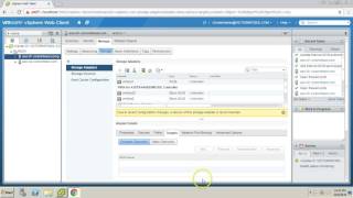 Mapping LUN or Data store to ESXi Host [upl. by Giovanni]