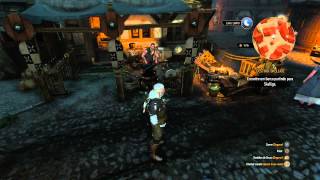 The Witcher 3 Blood and Wine  Onde encontrar o armeiroferreiro grão mestre [upl. by Dnomasor197]