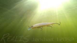 DUOs Lures in Motion 13 Realis Jerkbait 120SP [upl. by Abdul]