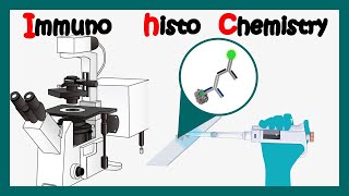 Immunohistochemistry  How to perform immunohistochemistry  application of immunohistochemistry [upl. by Lindsley573]