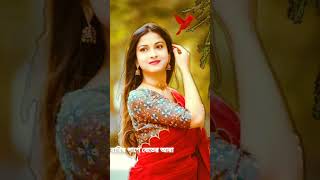 বারির পাশে বেতের আরা  Barir Pashe Beter Are  Bangla Hits Songt [upl. by Schaeffer]