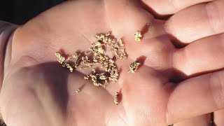 Amazing Rare Gold Nugget Find in Arizona With Fisher Gold Bug 2 [upl. by Anthony968]