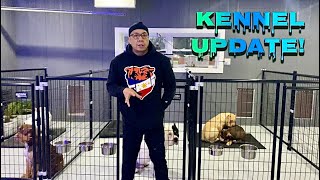 Designing the Perfect Dog Kennel Functional Layout and Build Tips  American Bully [upl. by Tonie]