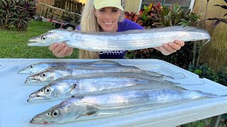 Florida Inshore Fishing for Ribbonfish how to catch clean amp cook [upl. by Helman770]