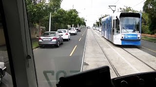 Drivers View Melbourne Tram 6 Prahran to Glen Iris [upl. by Thaddus]