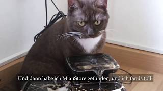 Der Miaustore Katzenbrunnen  Kundenrezension mit Diego [upl. by Highams]