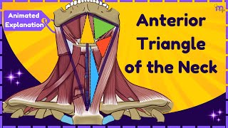 Anterior Triangle of the Neck  Boundaries  Subdivisions  Structures  Anatomy  Animated [upl. by Arodnap]