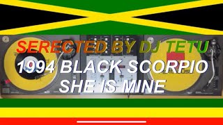 1994 BLACK SCORPIO SHE IS MINE BARRINGTON LEVYMEGA BANTONCHAKA DEMUSPLIERSSANCHEZ REGGAE MIX [upl. by Yeliab]