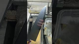 Tanaka Yoshikazu Gyuto 210mm White 1 Special [upl. by Leahcimnoj69]