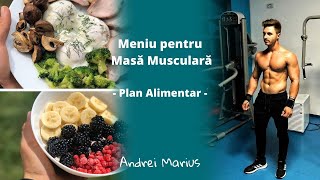 Cum săți faci un Meniu pentru Masă Musculară  Plan Alimentar [upl. by Irtimid283]