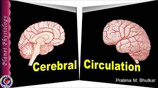 Advanced medical imaging to measure brain blood flow [upl. by Ramhaj]