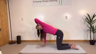 Midback thoracic rotations hands and knees [upl. by Ethelinda]