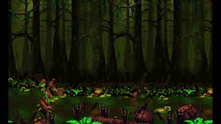 SNES  Donkey Kong Country 2  Bayou Boogie [upl. by Killen]