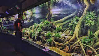 MONSTER Planted Aquascape in German Zoo  Full Tour [upl. by Atinob]