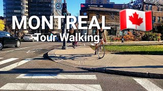 MONTREAL DOWNTOWN WALKING TOUR [upl. by Bashuk]