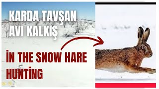 kışın karda yaban Tavşan avı ayak iz sürme ve kalkış part 2 2024 hare hunting [upl. by Nauqas518]