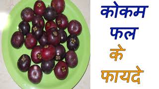 कोकम फल के फायदे health benefits of garcinia indicakokum ke fayde [upl. by Gasper937]