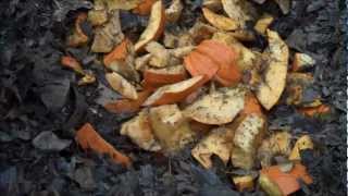 Composting 101 with a Geobin Composter Pumpkins [upl. by Balliett]