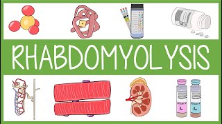 Rhabdomyolysis [upl. by Eigriv]