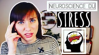 Le Stress Et Le Cerveau  4 Découvertes Scientifiques A Connaître [upl. by Suckram]