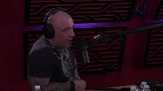 Joe Rogan on Michael Franzese JRE [upl. by Marrissa907]