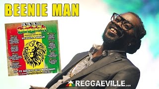 Beenie Man  Rototom Sunsplash 2014 8172014 [upl. by Arbe]