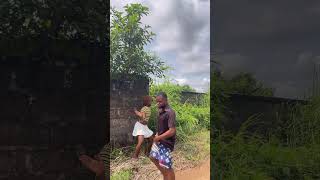 Wahala 😂😂😂 shortvideo comedy comedydancer comedymovies funny comedyvidance [upl. by Ssitnerp]