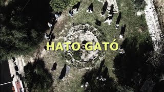 HATO GATÓ SET DE 7 [upl. by Ahsemaj]