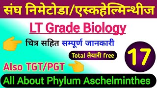 Phylum NematodaAschelminthes  lt grade biology classes  tgt biology online classes  pgt biology [upl. by Akla]