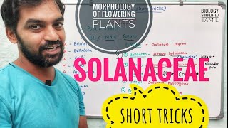 Morphology of flowering plants  Solanaceae  Mnemonics  Short tricks [upl. by Cardew280]