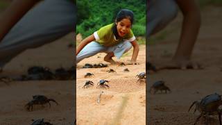 The girl found a lot of crabs 🦀🦀 camping survival outdoors lifehack [upl. by Camala167]