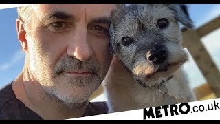 ✅ Super Vet Noel Fitzpatrick ‘overwhelmed with fear’ as dog is left in critical condition [upl. by Heall731]