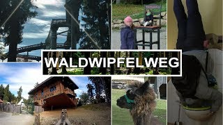 Der Waldwipfelweg und das Haus am Kopf  Sankt Englmar  Bayerischer Wald [upl. by Magnien]