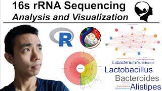 16s rRNA Sequencing Analysis and Visualization [upl. by Anitsirhk]