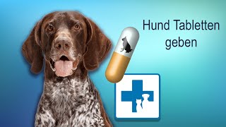 Wie gebe ich dem Hund Tabletten und Medikamente [upl. by Kenison]