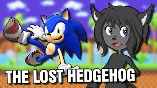 RESET SYSTEM 9  The Lost Hedgehog [upl. by Andryc991]