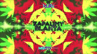 KUMI  ZAPALIMY BLANTA NEXITS REMIX 2022 [upl. by Joceline284]