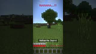 Cooked  💀 minecraft viral shorts [upl. by Eam]