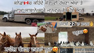 ਕਨੇਡਾ 🇨🇦ਦੇ Edmonton ਸ਼ਹਿਰ ਵਿੱਚ ਵੱਸਦਾ ਪੰਜਾਬ❤️ ਗੈਸ ਟੈਂਕ ਵੀ ਫ਼ਾਰਮ ਤੇ ਆਉਂਦਾ🔥… [upl. by Brynna]