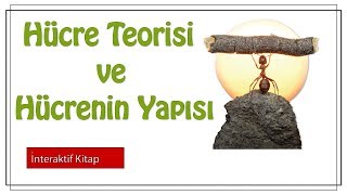 Hücre Teorisi ve Hücrenin yapısı sayfa42 [upl. by Lidstone]