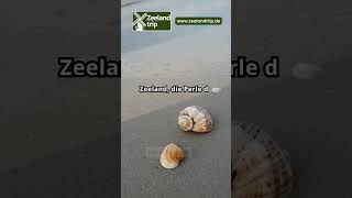 Zeeland die Perle der niederländischen Küste zeelandtrip zeeland urlaubinholland strandurlaub [upl. by Donelle]