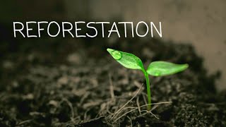 Reforestation  Conservation of Plants and Animals  Class 8th  Science  JKBOSE  CBSE [upl. by Nirro447]