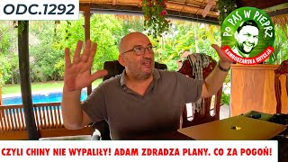 Czyli Chiny nie wypaliły Adam zdradza plany Co za pogoń Odc1292 [upl. by Lluj]