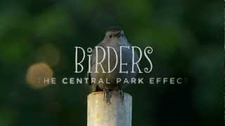 Birders The Central Park Effect  Official Trailer [upl. by Anairt392]