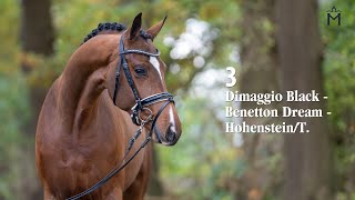 Nr 3 v Dimaggio BlackBenetton Dream [upl. by Ateekram245]