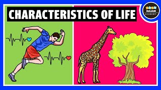 Characteristics of Life and Living Things  Biology [upl. by Fawne914]