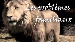 TRAILER OFFICIAL  LE LION [upl. by Lietman]