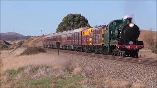 NSW steam locomotives [upl. by Foote]